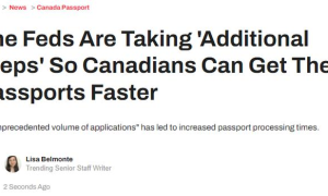【关注】加拿大政府出手！换护照终于不用排长队了！欧洲游说走就走：欧盟取消所有旅行限制！